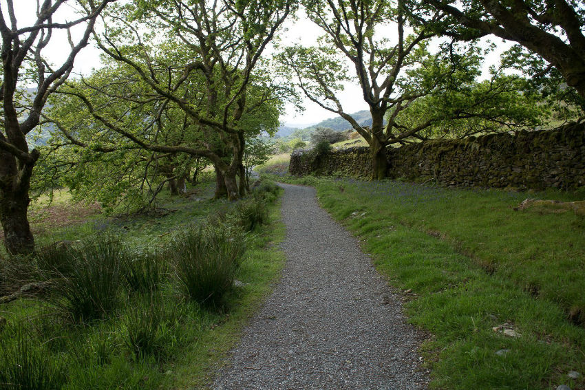 Lon-Gwyrfai-Trail