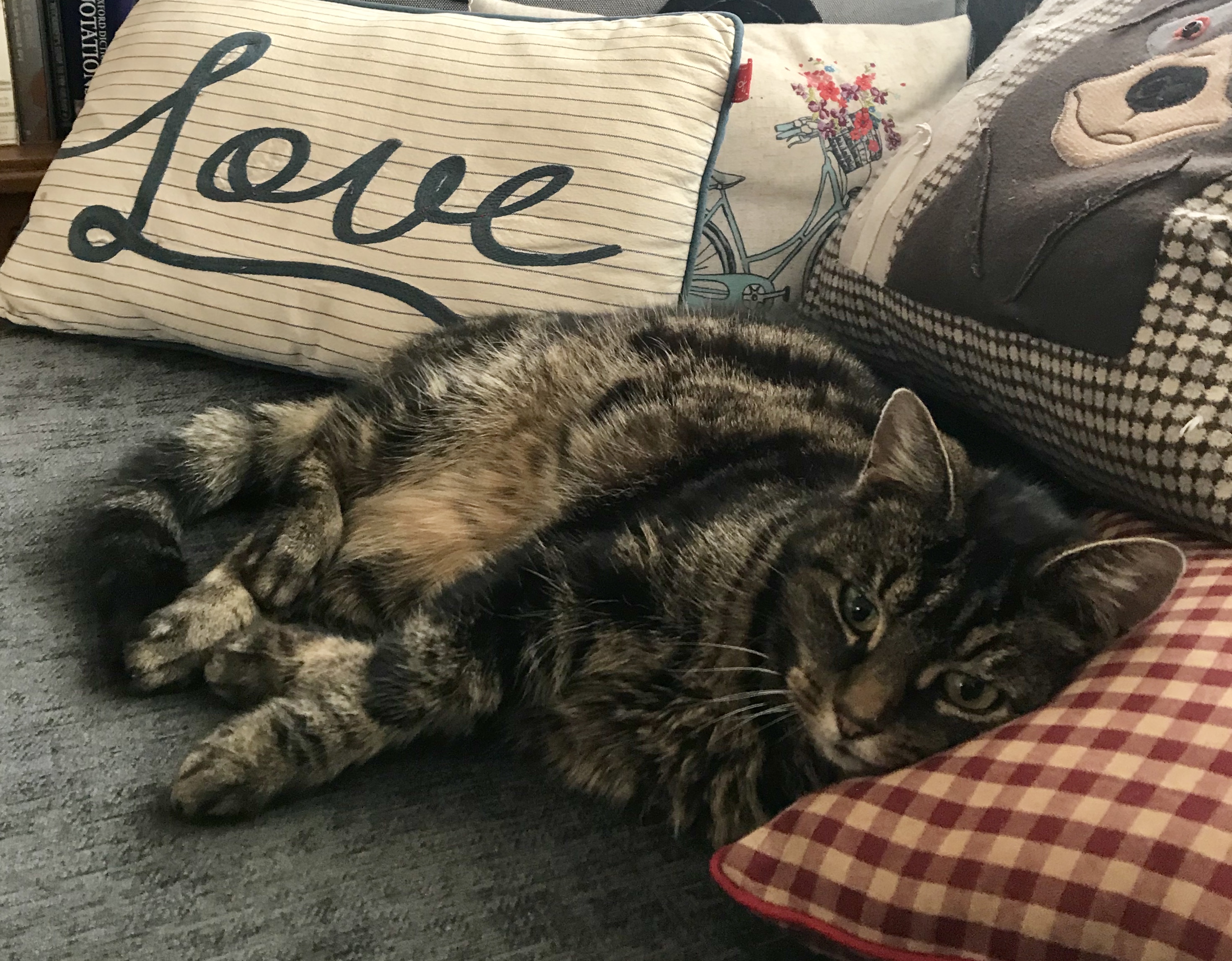 Jammy relaxing