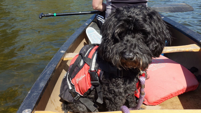 canoe-experience-brecon-wales-50
