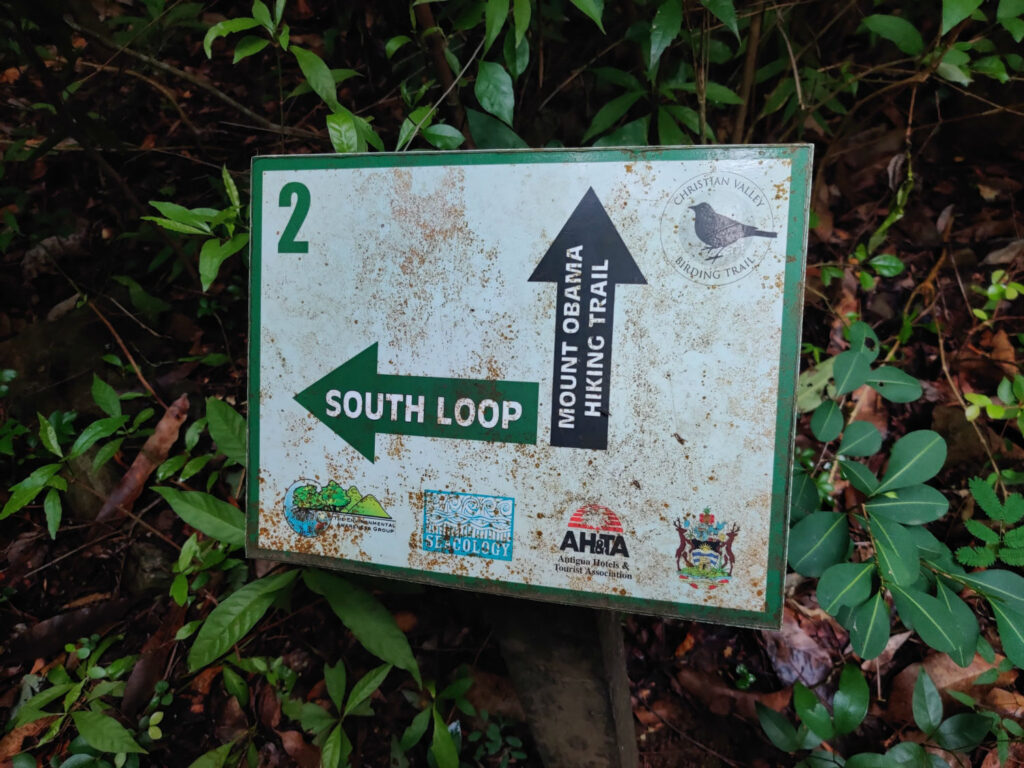 Mount obama hike antigua