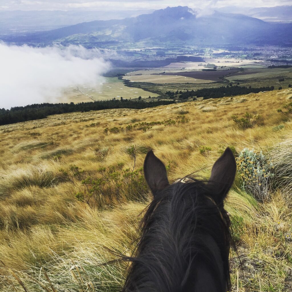 Cloud Forest Horse Riding Experience in Ecuador | Cloud Forest Horse Riding | Ecuador Horseback Riding Tours & Multi-day Horse Riding Tour Horse-ride-clouds