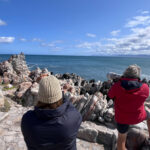 Genius Travels - Advenutre Travel Guides | hermanus_whale_watching-06