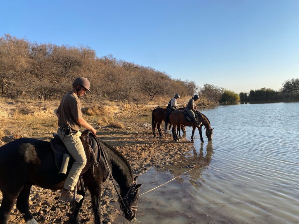 Ants Nest Safari Lodge - South Africa | Ants Nest Safari Lodge | Luxury safari accommodation South Africa