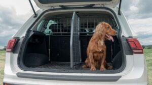 Travall boot divider and dog guard fitted in a car boot