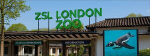 ZSL London Zoo logo with a tiger in the background