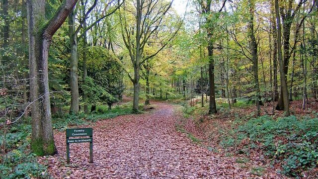 Severn Valley Walk: A 10km Circular Hike via Upper Arley | Severn Valley Circular Walk | 10km Circular Hike, Severn Valley walk from Upper Arley