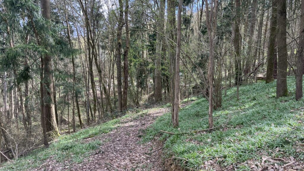 Severn Valley Walk: A 10km Circular Hike via Upper Arley | Severn Valley Circular Walk | 10km Circular Hike, Severn Valley walk from Upper Arley