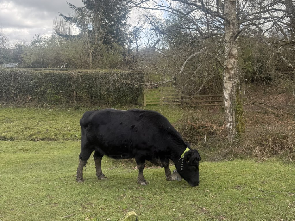 Severn Valley Walk: A 10km Circular Hike via Upper Arley | Severn Valley Circular Walk | 10km Circular Hike, Severn Valley walk from Upper Arley