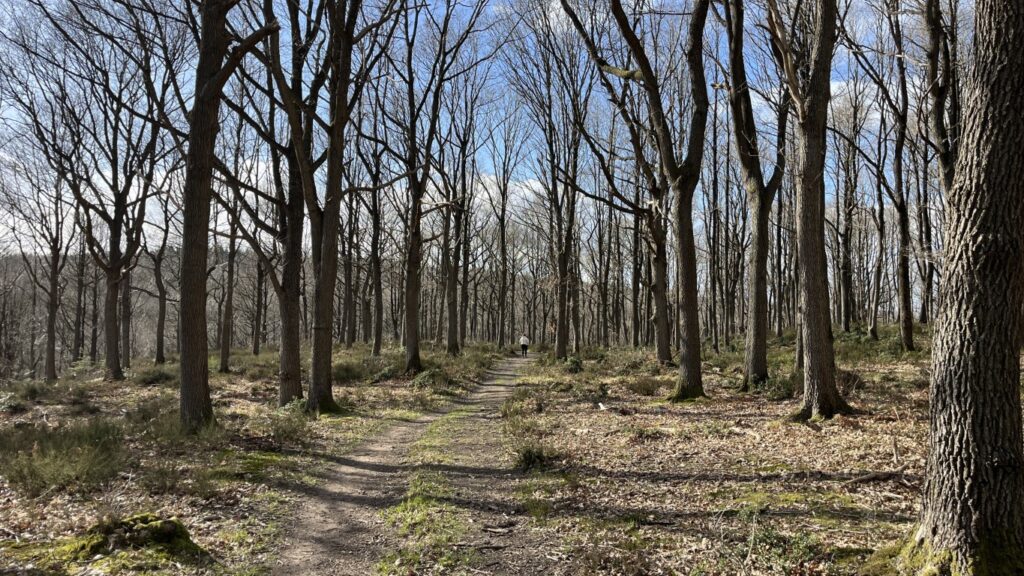 Severn Valley Walk: A 10km Circular Hike via Upper Arley | Severn Valley Circular Walk | 10km Circular Hike, Severn Valley walk from Upper Arley