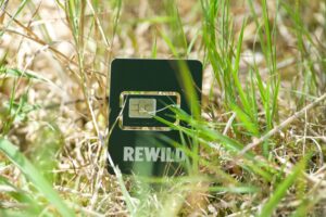 Rewild Mobile SIM card and packaging on a green nature background