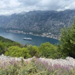 Bay of Kotor panorama with the terraced shoreline below
