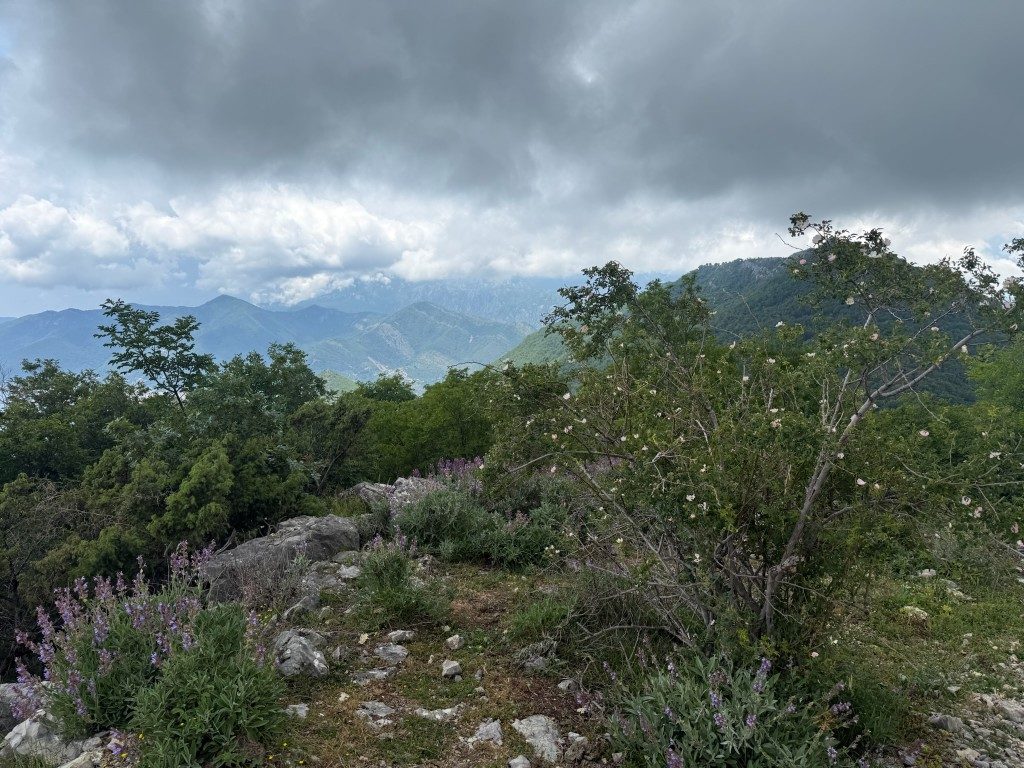 Kotor Viewpoint Hike | Kotor Viewpoint Hike | Kotor Walk Guide & Viewpoints Open Vrmac ridgeline with low scrub and a wide valley behind