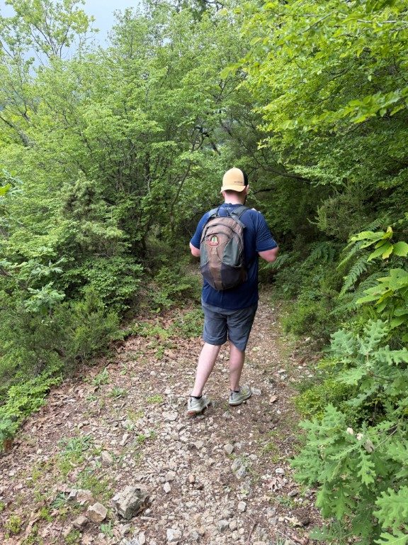 Kotor Viewpoint Hike | Kotor Viewpoint Hike | Kotor Walk Guide & Viewpoints Walker on a green wooded section of the trail mid-climb