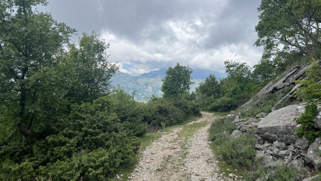Kotor Viewpoint Hike | Kotor Viewpoint Hike | Kotor Walk Guide & Viewpoints Wide stony ridge track curving along the Vrmac crest