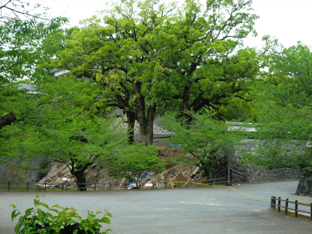 Collapsed stone walls near the Hazekata Gate at Kumamoto Castle after an earthquake
