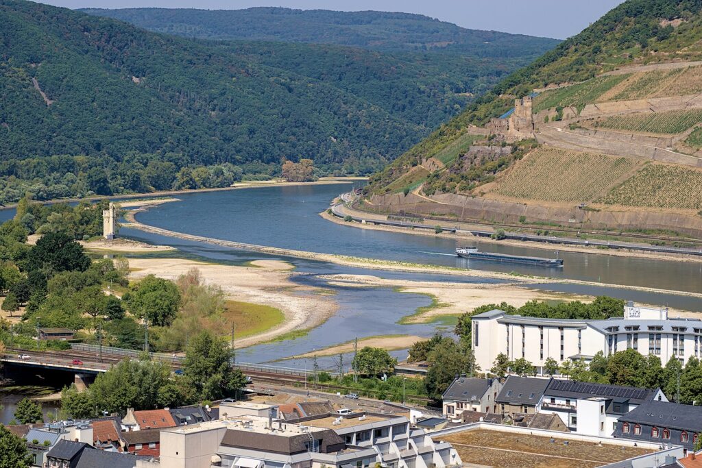 Exposed gravel banks where the Nahe joins the Rhine during the 2026 drought