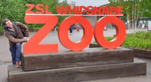 ZSL Whipsnade Zoo entrance sign with lion statue