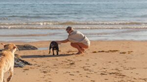 Lovat Parks discount codes and voucher codes