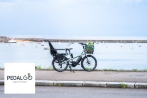 Pedal Go discount codes