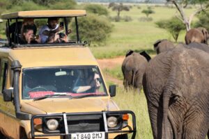 Sarova Hotels & Resorts safari lodge and beach resort banner