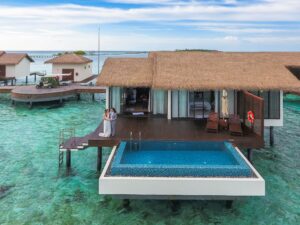 Luxury treehouse bungalow with private pool at Hotel Las Islas, Isla Barú, Colombia