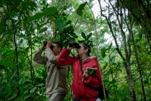 Savegre Hotel mountain lodge surrounded by Costa Rica cloud forest