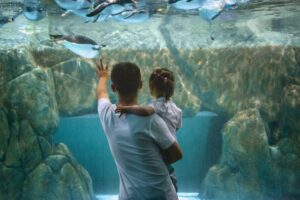 zoo aquarium tickets -- Tiqets 5% Off Zoo Aquarium Tickets Discount Code