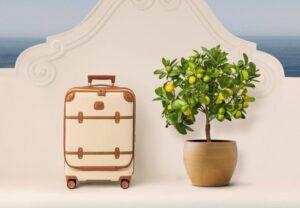 briggs riley -- Case Luggage 10% Off Briggs Riley Discount Code