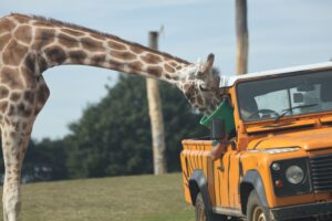 ZSL Whipsnade Zoo -- ZSL Whipsnade Zoo 10% Discount Code