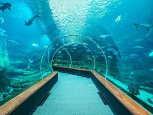 aquariums -- Kids Pass 44% Off Aquariums Discount Code