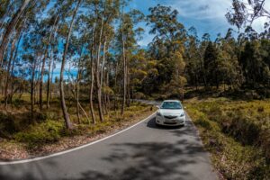 Forces Car Hire -- Forces Car Hire 20% Off Sitewide Discount Code